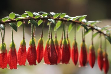 广州越秀区8私人快速借钱网，轻松解决资金难题