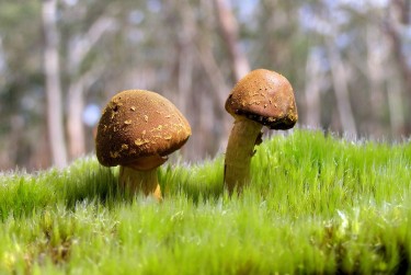 广州越秀区8私人老板放款：轻松融资的秘密通道